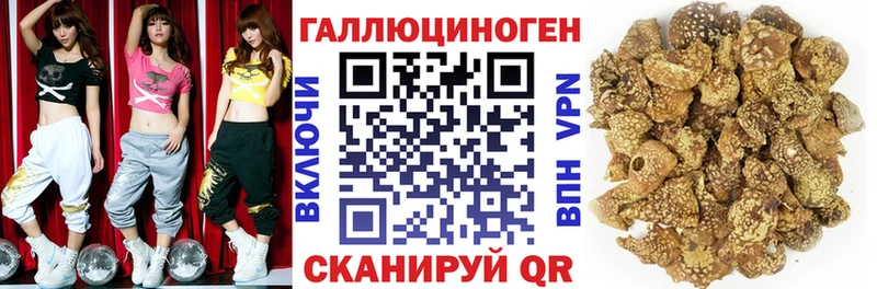 Псилоцибиновые грибы прущие грибы  наркотики  Йошкар-Ола 