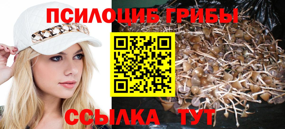 Галлюциногенные грибы Cubensis  Псилоцибиновые грибы Psilocybine cubensis  Вход с VPN  Йошкар-Ола 