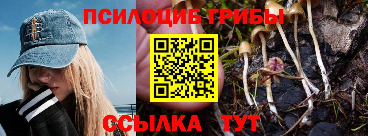 Галлюциногенные грибы мицелий Йошкар-Ола