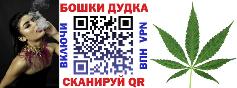 Бошки Шишки семена  мориарти наркотические препараты  KRAKEN сайт  Йошкар-Ола  купить закладку 